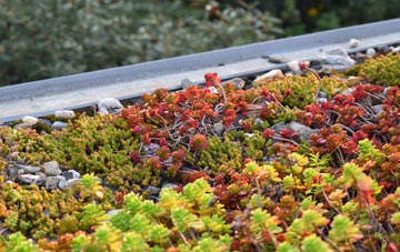 the cost of Woodhorn green roof installation