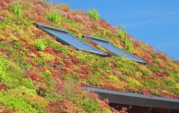 Woodhorn living roof systems