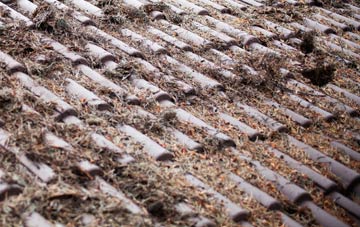 Woodhorn roof cleaning companies