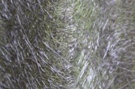 Woodhorn fibreglass roof work